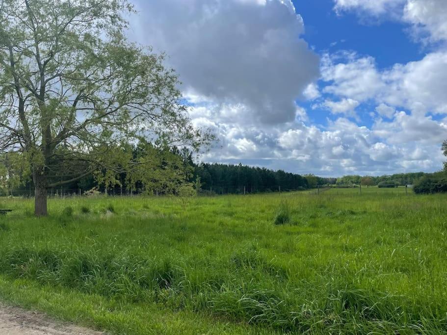Gite Le Village Des Champs Soings-en-Sologne Dış mekan fotoğraf