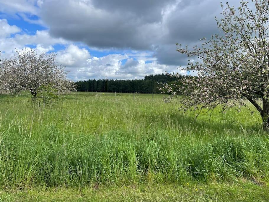 Gite Le Village Des Champs Soings-en-Sologne Dış mekan fotoğraf